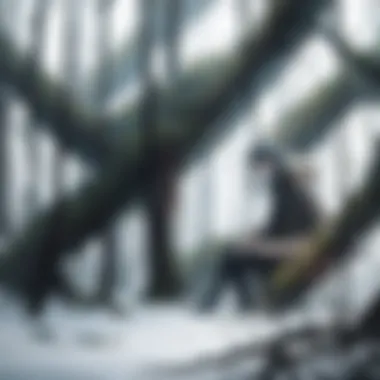 Enigmatic Forest Atmosphere Mysterious dark forest setting from Crawlers Movie