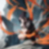 Symbolic representation of the Hidden Leaf Village